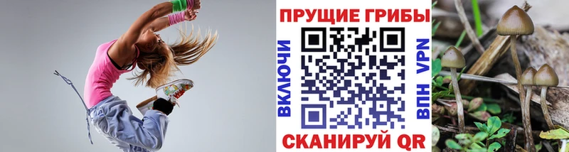 цены Ермолино Галлюциногенные грибы ЛСД